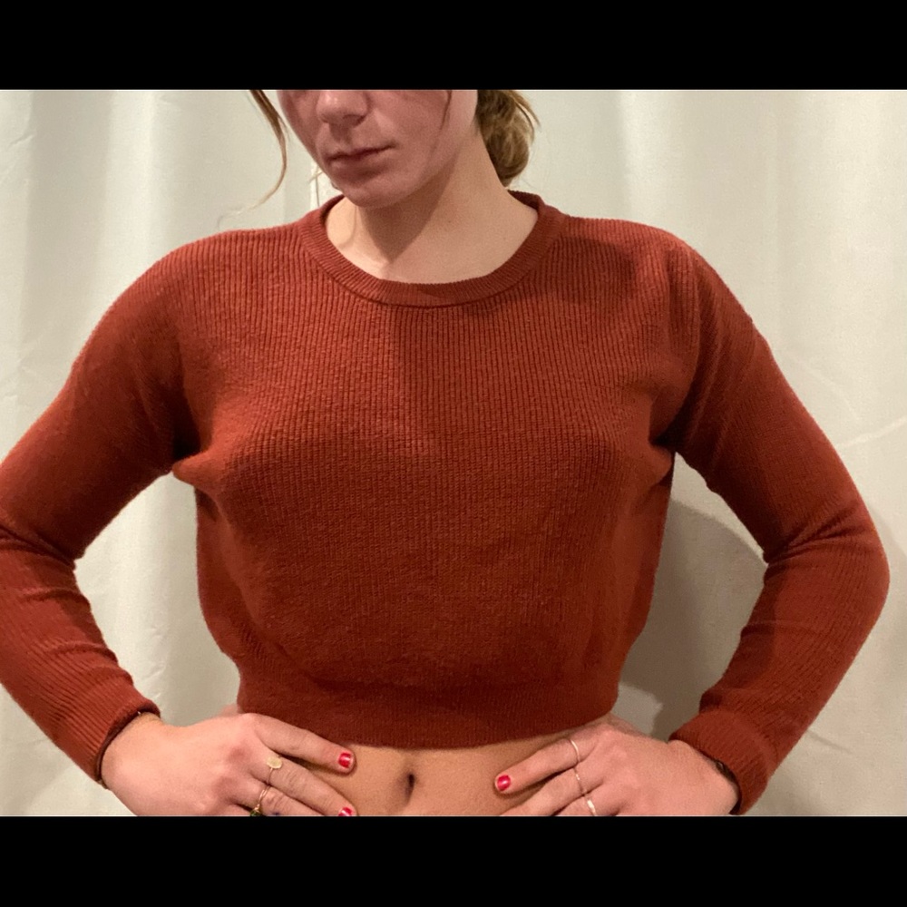 Rustic orange/brown cropped sweater
